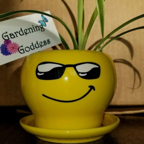 BellaDonna Boutique Accents Emoji Face Flower Pot Yellow Ceramic